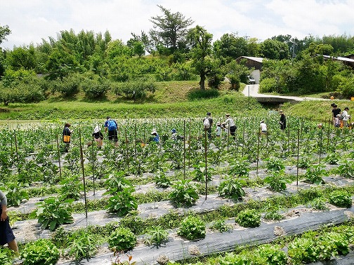 交流会